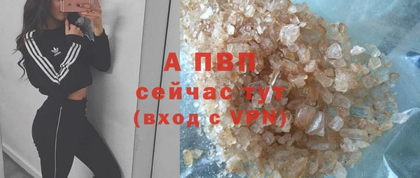дурь Лабытнанги