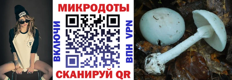 Псилоцибиновые грибы Magic Shrooms  Купить где  Алушта 